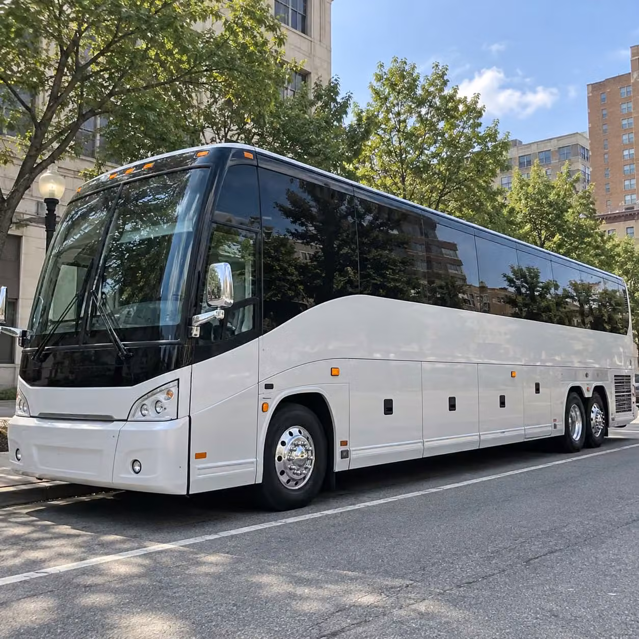 youth sports team transportation in the greater charleston area